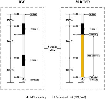 Alterations in Cerebellar Functional Connectivity Are Correlated With Decreased Psychomotor Vigilance Following Total Sleep Deprivation